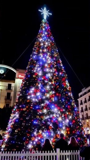 Experience a mesmerizing giant Christmas tree light show where music