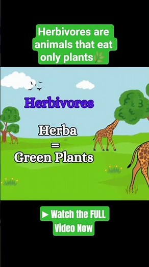 Herbivores Explained 🌿 | Animals & Their Food