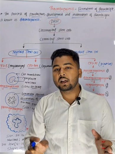Formation of thrombocyte|Thrombopoiesis #trending #ytshorts #medicaleducation