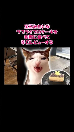 やけに高いラブライブのケーキを、実際に食べて辛口レビューする #猫マニ #猫ミーム #shorts #short