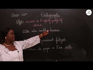 Course - CE2 - French: Grammar / Agreement of the qualifying adjective attribute / Mrs. Sarr