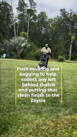 Showing the importance and our process of dethatching Zoysia. #zoysia #turf #lawn #landscape