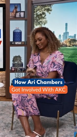 1.3K views | One tweet can make all the difference. ✨ Multi-media journalist Ari Chambers shares how she got involved with the @americankennelclub. | AKCtv | Facebook