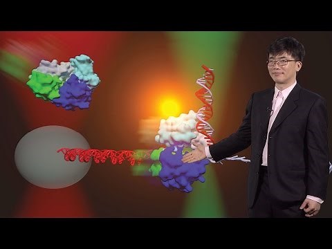 Taekjip Ha (Johns Hopkins / HHMI) 3: Investigating DNA Helicases using single molecule technologies
