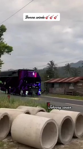 #CapCut #introstade #johnnyhallyday #pourtoi