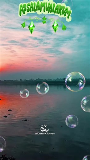 sabee_ks (@sabee_ks)’s videos with original sound - sabee_ks