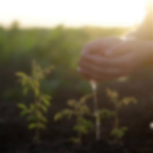🌱 Climate change is not a distant threat—it's happening now. From rising temperatures to shrinking ice caps, our planet needs action today. See how Southern States Energy Board is using SAS to drive innovation, champion sustainability, and protect our future. http://2.sas.com/6184Q5pTn #ClimateRiskManagement #actnow | SAS Software