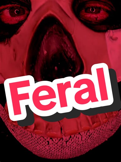 Experience the Night with Feral Sounds