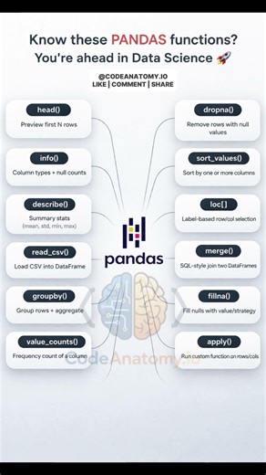Master These Pandas Functions FAST 🚀 | Data Science Must-Know Tricks (Beginner to Pro)
