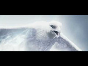 Pass Beyond the Threshold - 57 Sec Transmigration - Destiny 2 Final shape 2024 Walkthrough