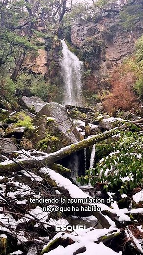 Los Alerces National Park awaits you with must-see views ❄