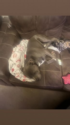 Texas Towing (@texastowing)’s videos with GOOD TIME - Niko Moon