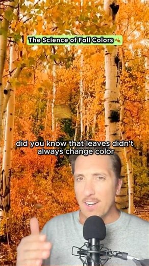 The Science Behind Fall Colors 🍁 #FallColors #ScienceFacts