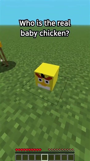 Who Is The REAL Baby Chicken? 😂🐥 (IMPOSSIBLE)