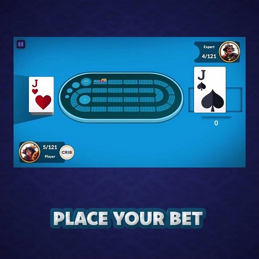 Cribbage Offline Card Game