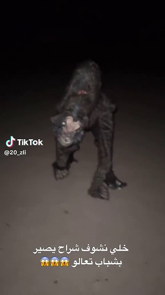 ‏#كشته #بيت_رشك #سجاد_رشك