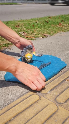 Ze Oh | 3D Arts on Instagram: "“Crackzilla” #art #miniature #vfx"