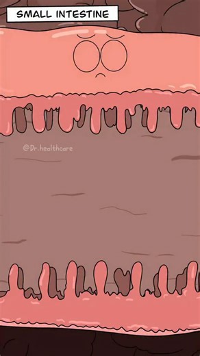 Dr.Healthcare on Instagram: "Why Your Poop Comes Out in Different Colors?"