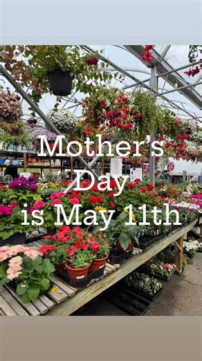 Mother’s Day is this Sunday May 11th! Suprise Mom with something from our selection of hanging baskets, annuals, perennials, giftware, yard art or wild bird feeders. Gift Cards are also available. May Special’s are 25% off giftware, yard art and wild bird feeders. | Portal Way Farm and Garden