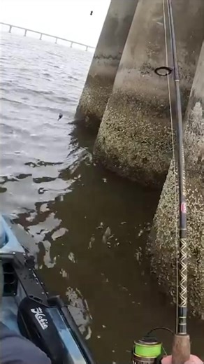 Using WORMS to catch saltwater fish!! | Southern Salt Fishing