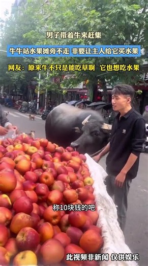 男子帶著牛來趕集，牛牛站水果攤旁不走 非要讓主人給牠買水果