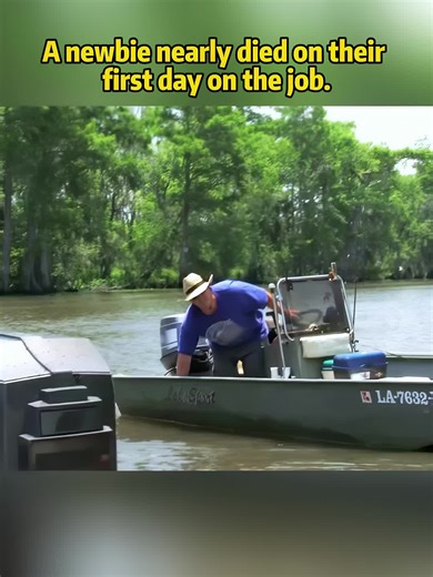 Explore the Mystery Swamp Adventure