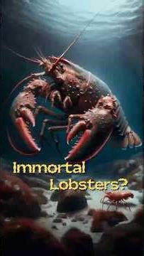 YouTube Shorts Lobsters Don’t Age Like Us, And It Isn’t Fair