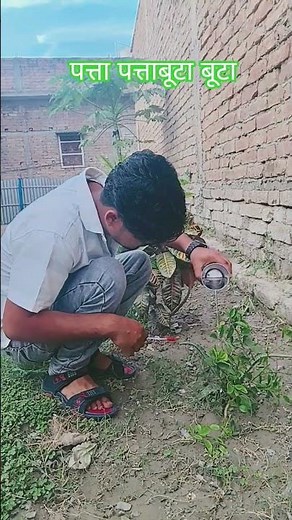 पत्ता पत्ता बूटा बूटा जिक्रे खुदामें खोया || Patta Patta buta buta naat Sharif