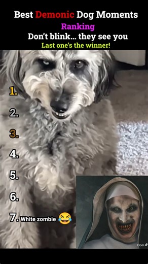 Best Demonic Dog Moments 👹🐕 (DON’T WATCH ALONE 😨)