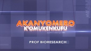 THE NEW CASH CROPS (CASTOR SERIES) CASTOR OIL BEAUTY BENEFITS WITH OMUKENKUFU NYANZI JULIUS NEVER MISS AKANYOMERO ON BUKEDDE TV EVERY THURSDAY AT 10:00 PM (AGATALIKO NFUUFU) #omukenkufu_nyanzi_julius #the_prof_story #biodiesel #sente_zimera_ku_mitti #i_will_be_there #the_great_sundowner_10 #science_commissioner #prof_bioresearch | Prof Bioresearch | Facebook