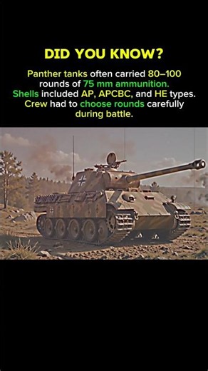 Why Panther Tank Crews Had to Choose Every Shot Carefully