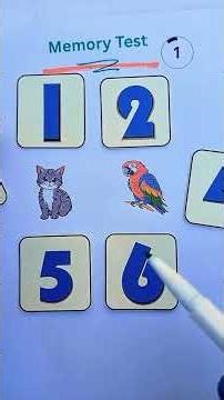 today the best video memory test