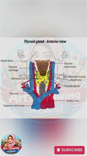 DIAGRAM 26 #biologydiagram #drawing #medicalstudents #heart #biology #science #medical #viralvideo