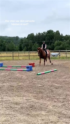 Crazy Bodil🫣 #hästarpåtiktok #horsesontiktok #fypppp #goviral #bodil