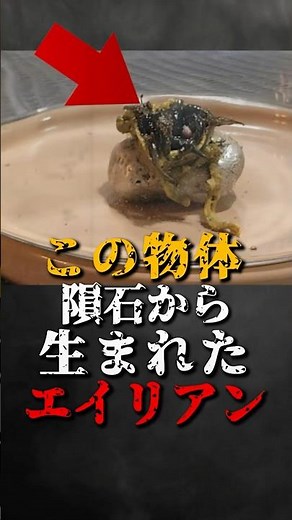 This object is an alien born from a meteorite.