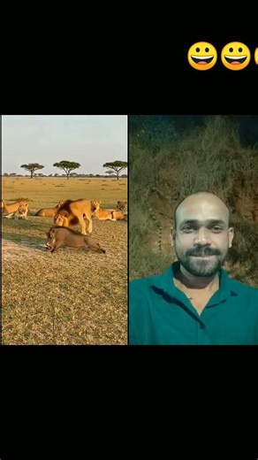 Speed vs Strength in the African Wild ! Savannah ,S Smartest Actor 🎬😀