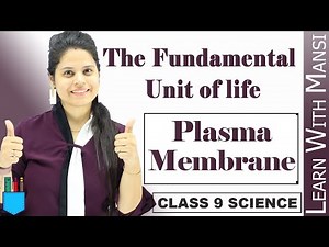Plasma Membrane | Osmosis | Diffusion | Chapter 5 | The Fundamental unit Of Life | Class 9 Science