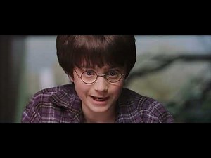 Harry at the Zoo | Harry Potter and the Philosopher's Stone