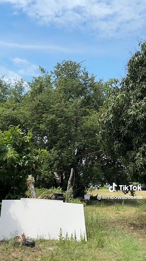 iPhone 16e Zoom Test Review and Insights