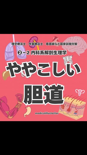 🔴胆道 胆のう 総胆管 総肝管 #第61回理学療法士国家試験 #第61回作業療法士国家試験 #第115回看護師国家試験