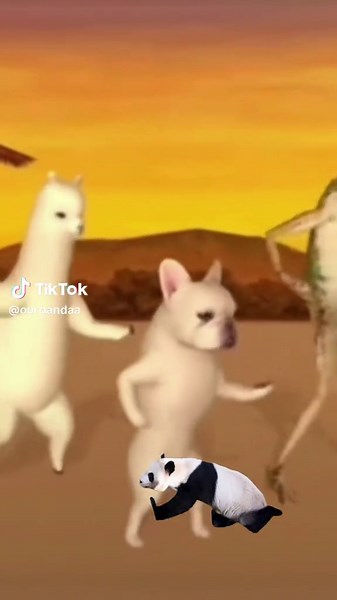 Panda Walking Adventures: A Delightful Meme Experience