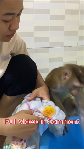7.5K views · 155 reactions | So naughty! Monkey Lyly got dirty and the surprise when her mother found outFull Video in Comments | Monkey TV | Facebook