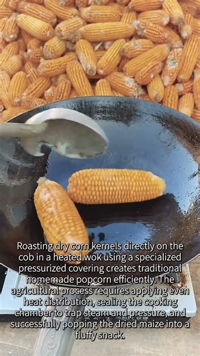 Making Popcorn Right Off The Cob In A Hot Wok Is Insane #worker #process #corn #popcorn #recipe