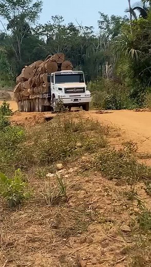 Dhione Trabach Santa no TikTok