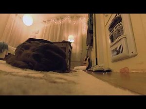 The Facts. Your Future. (Fentanyl Public Service Announcement)