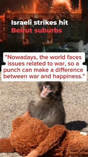 Punch can make a difference between war and happines #punch #babymonkey #japan #viral