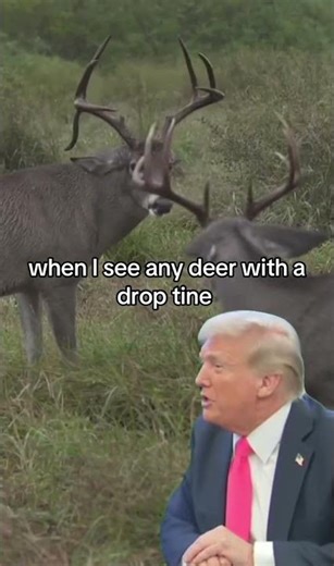 When I see a deer with drop tines🤔🦌