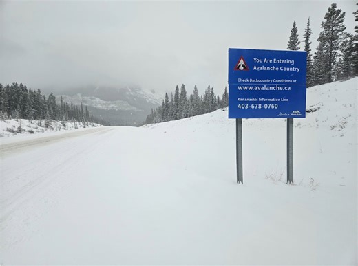 New database tracks every Canadian avalanche fatality since 1782