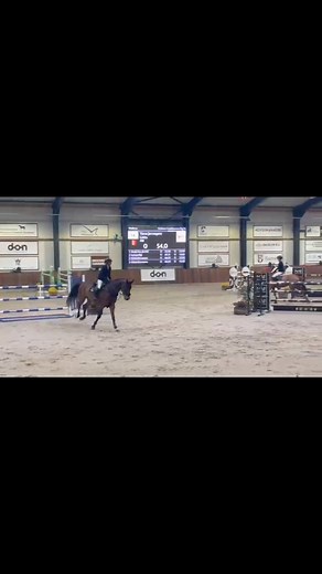 One of our newest additions in the team! Lotto Indebus Z (-2018 by Lamm de Fetan x Erco van ’t Roosakker) jumping great this weekend with two clear rounds in the 1m40 classes and one rail off in their first 1m45 GP together! 🚀🌟 Stal Theeuwes - Stud 111 | Halkin Stables