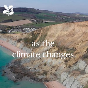 This year is a turning point for action on climate change and your support will protect nature, beauty and history for future generations. At COP26, we're calling for bigger commitments from global leaders so we can all look ahead to a brighter, greener future. | National Trust